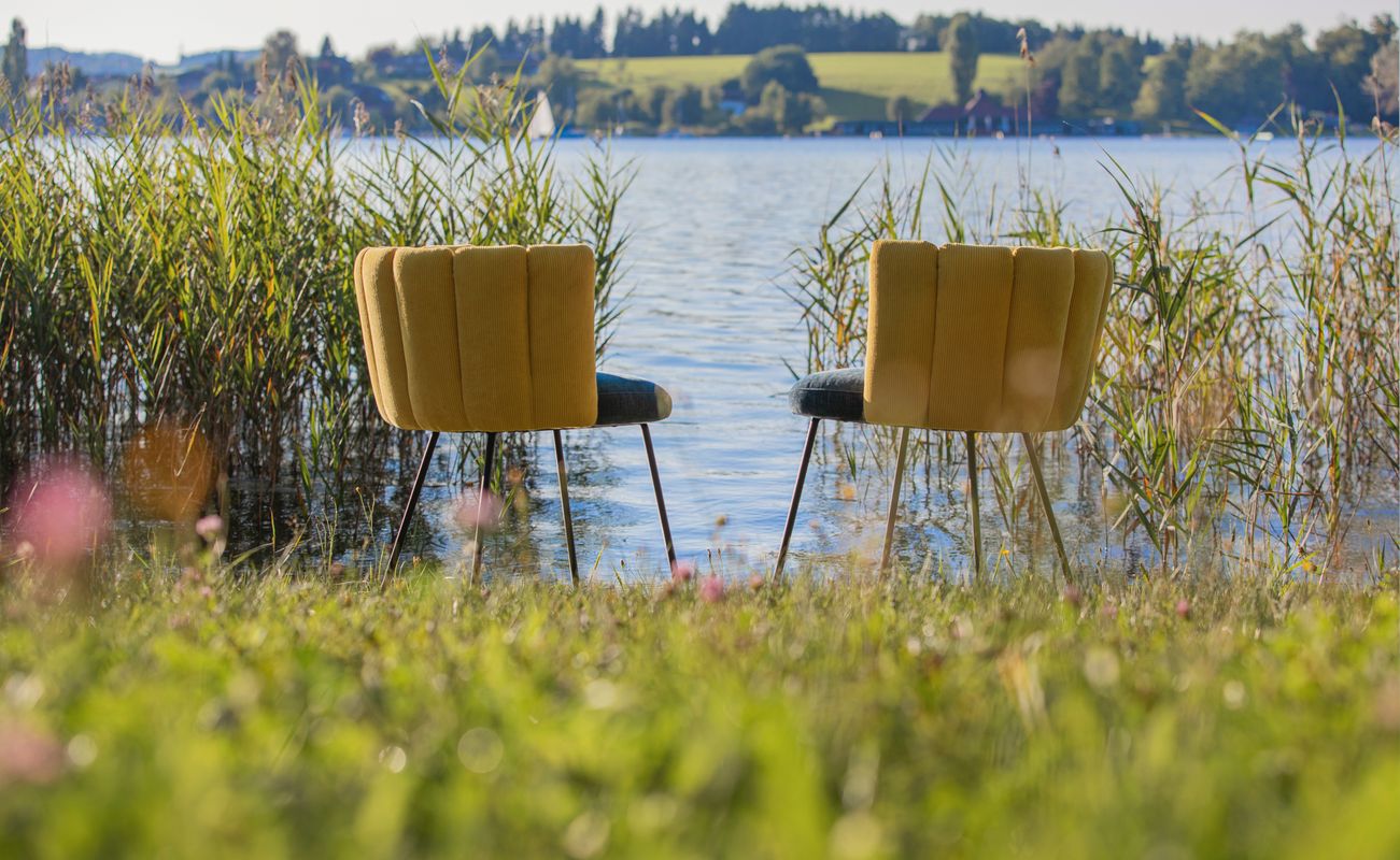 Zwei Stühle mit gelben Rückenlehnen stehen am Ufer eines Sees, umgeben von Gras und Schilf, mit Blick auf das Wasser und die Landschaft im Hintergrund.